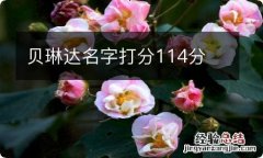 贝琳达名字打分114分