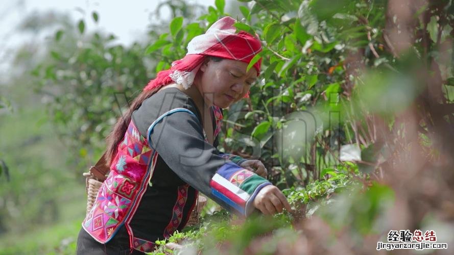 穿青人是什么民族的人