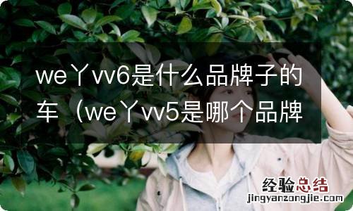 we丫vv5是哪个品牌的 we丫vv6是什么品牌子的车