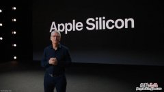 apple silicon什么意思