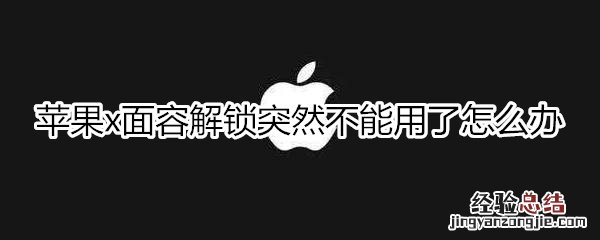 苹果x面容解锁突然不能用了