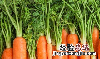 胡萝卜素作用及功能 胡萝卜素的好处