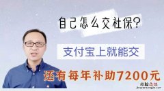 在支付宝怎么缴纳社保费