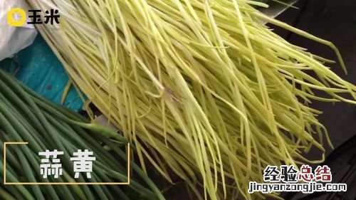 韭黄与韭菜有什么不同