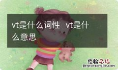 vt是什么词性vt是什么意思