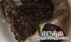 美味的干羊肚菌如何泡发?怎么吃? 干羊肚菌怎么泡发洗净