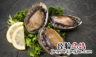 鲜活鲍鱼可以保存几天 新鲜鲍鱼保存 冷藏几天