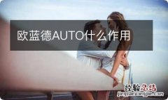 欧蓝德AUTO什么作用