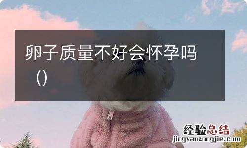 卵子质量不好会怀孕吗