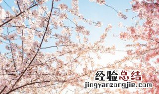 春天有哪些植物苏醒了它的作文 春天有哪些植物苏醒了