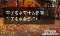 车子泡水会怎样 车子泡水有什么影响