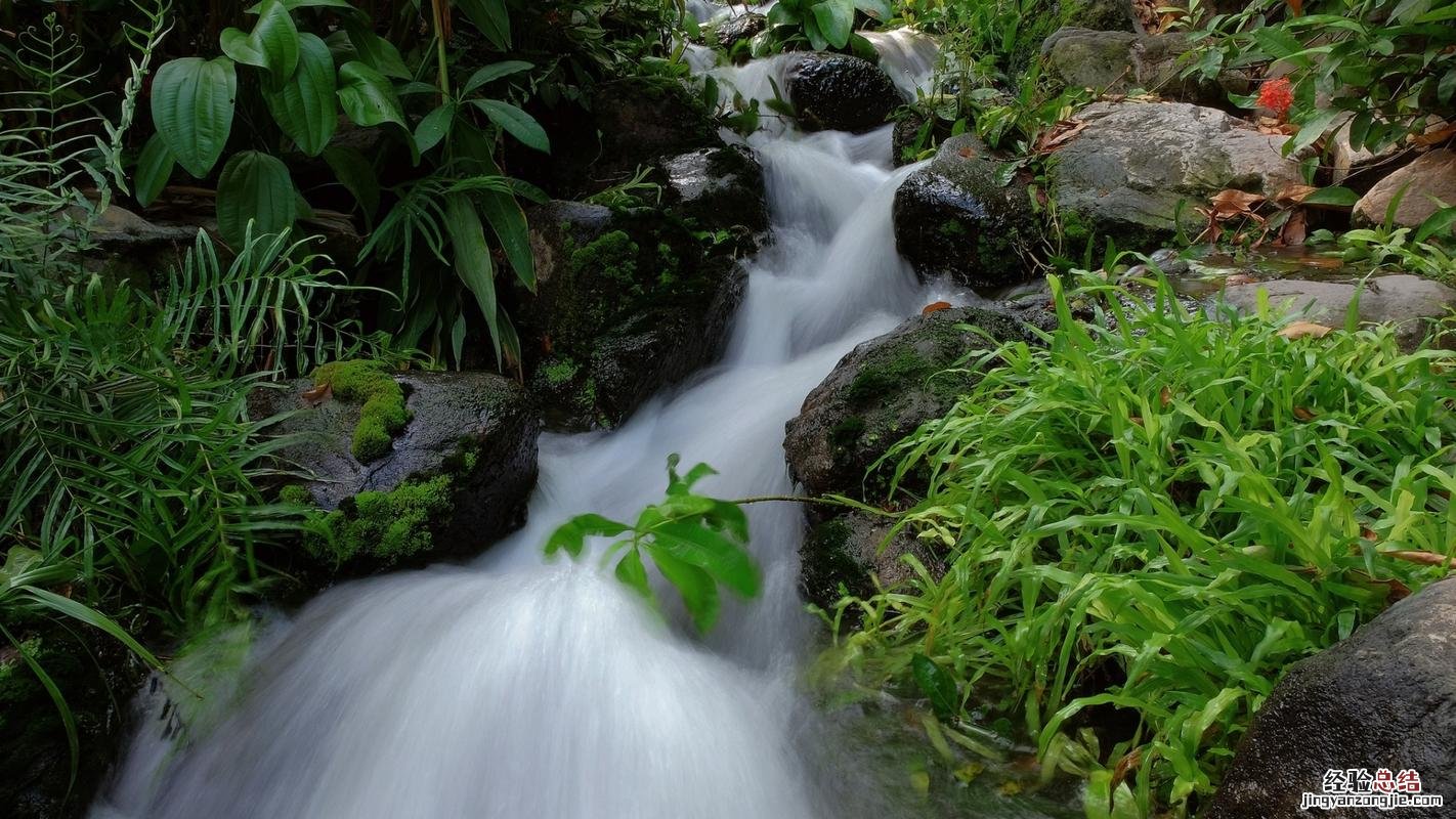 流水潺潺心韵悠悠的意思