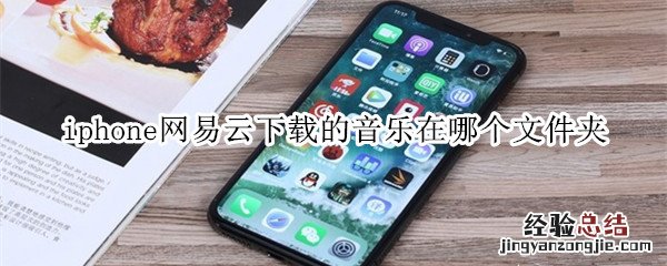 iphone网易云下载的音乐在哪个文件夹