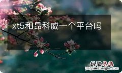 xt5和昂科威一个平台吗