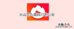 火山怎么查自己的公会