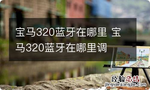 宝马320蓝牙在哪里 宝马320蓝牙在哪里调
