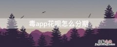 毒app花呗怎么分期