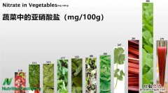 菠菜叶绿素含量大概为多少