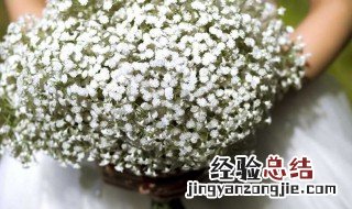 什么花语代表爱人的呼吸 爱人的花语是什么