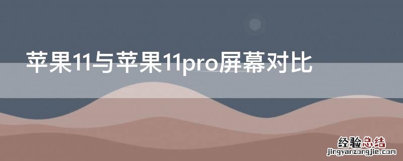 iPhone11与iPhone11pro屏幕对比