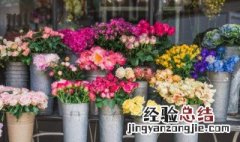 鲜花语录经典简短内涵 鲜花语录经典简短