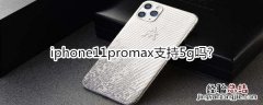 iphone11promax支持5g吗?