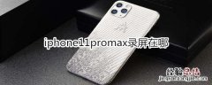 iphone11promax录屏在哪