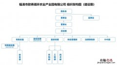 公司的主要结构有哪些