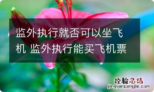 监外执行就否可以坐飞机 监外执行能买飞机票吗