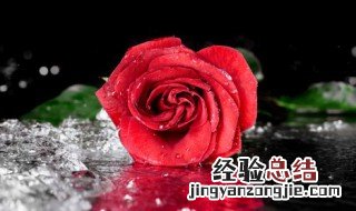 储存干玫瑰花方法 储存干玫瑰花方法是什么