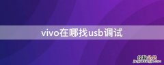 vivo在哪找usb调试