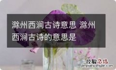 滁州西涧古诗意思 滁州西涧古诗的意思是