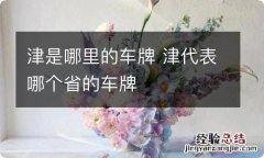 津是哪里的车牌 津代表哪个省的车牌