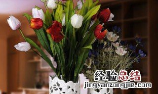 客厅花瓶适合什么鲜花 客厅花瓶适合摆什么花