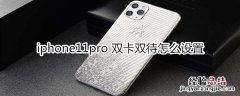 iphone11pro 双卡双待怎么设置