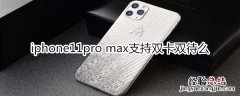 iphone11pro max支持双卡双待么