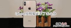 iphone应用验证不了怎么办