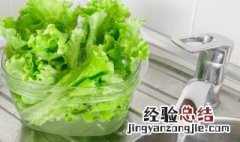 生菜可以放多久 生菜可以放多久冰箱