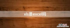 xls是excel吗