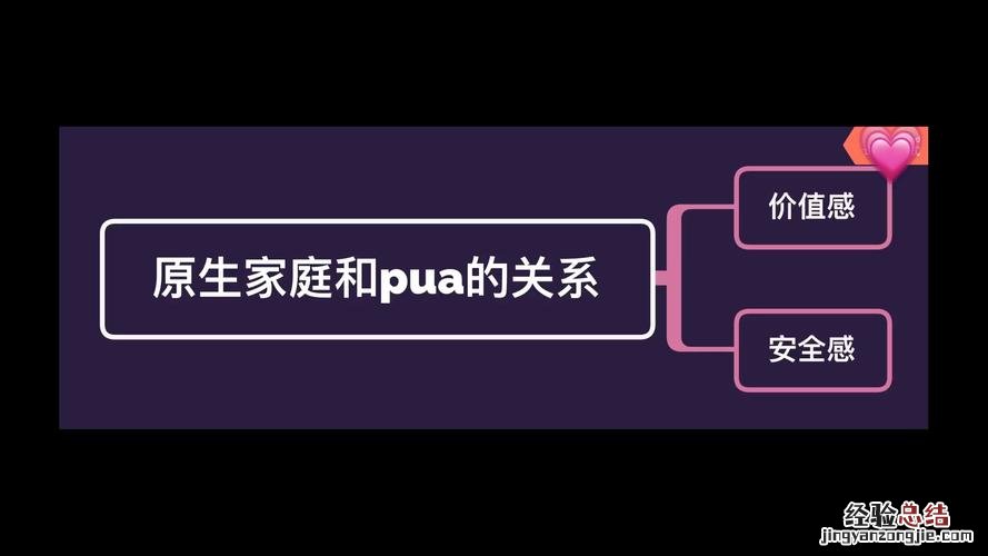 Pua是什么