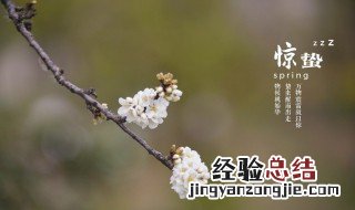 惊蛰节气是哪个季节 惊蛰节气是什么时候