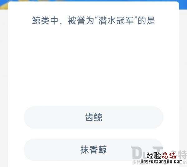 鲸类中，被誉为潜水冠军的是齿鲸还是抹香鲸？ 神奇海洋2月18日今天答案