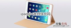 ipadpro支持快充吗