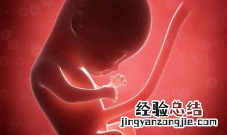 胎儿体重怎么算 怎么算胎儿体重