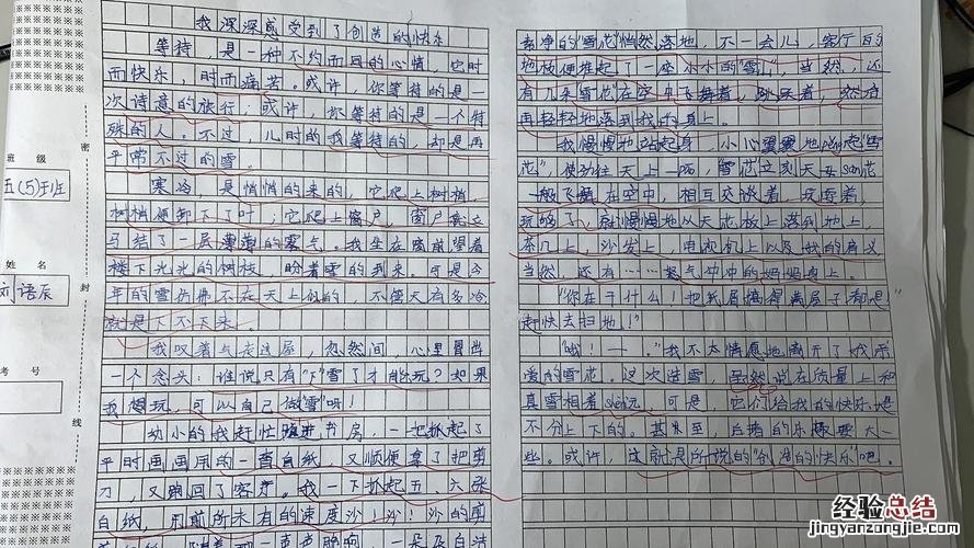 我发现了什么什么作文