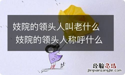 妓院的领头人叫老什么 妓院的领头人称呼什么