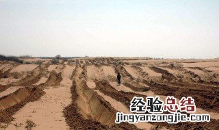 水土流失治理 水土流失治理措施三大类措施