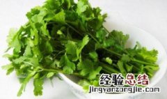 香菜怎么样保存 香菜的保存方法