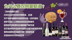 葡萄酒和红酒的区别是什么