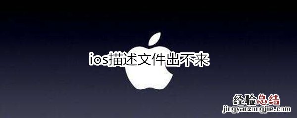 ios描述文件出不来